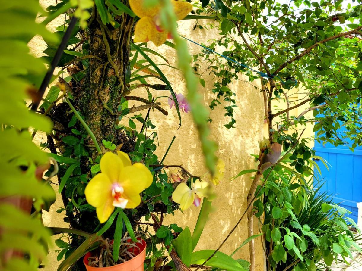 Pousada Recanto Dos Nativo Araquari Buitenkant foto